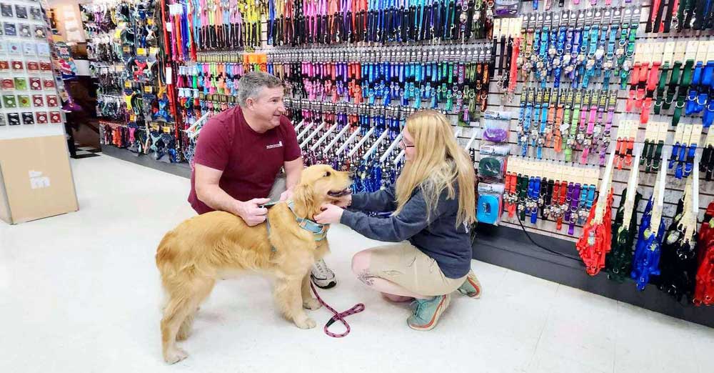 Private Shopping Sessions for Dog Reactive Dogs