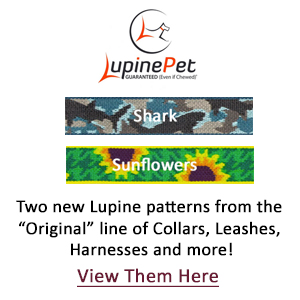 New Lupine patterns