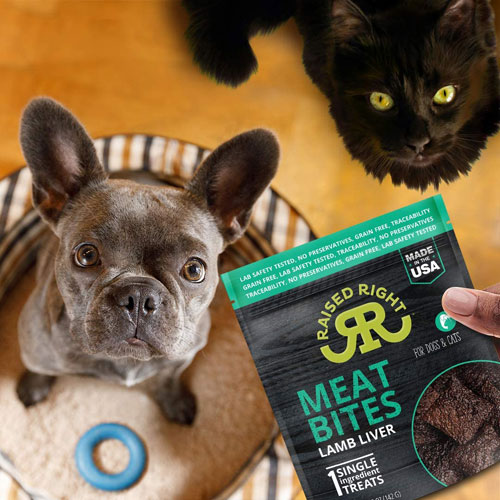 are liver treats safe for dogs