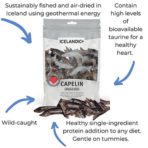 Capelin for dogs best sale