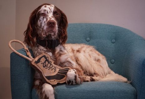 Leather and wool outlet dog toy