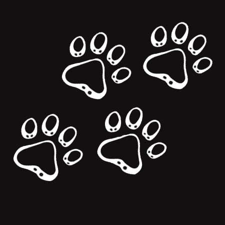 K Line Decal - Small Paws