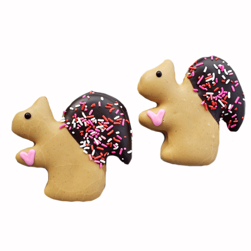 "Be Mine" Jumbo Squirrels