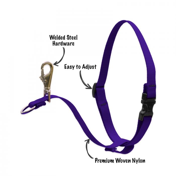 Lupine no pull training harness hotsell