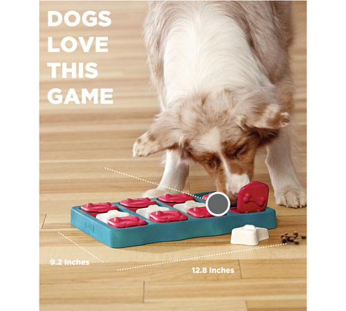 Outward Hound - Dog Brick - Interactive Treat Puzzle Dog Toy - Level 1 -  Four Your Paws Only
