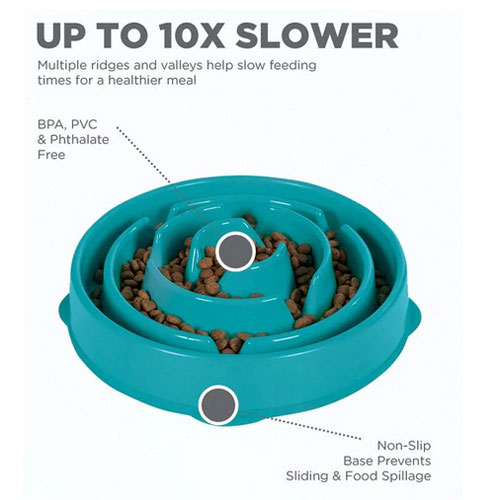 Outward Hound Slow Feeder Plastic Dog Pet Food Bowl Circular Teal