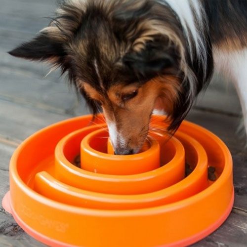 Outward Hound Fun Feeder Slow Feed Dog Bowl Orange Mini