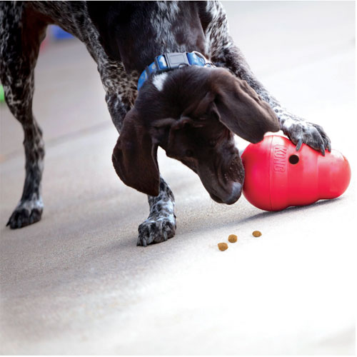 Kong Ballistic Hide n Treat - Four Your Paws Only