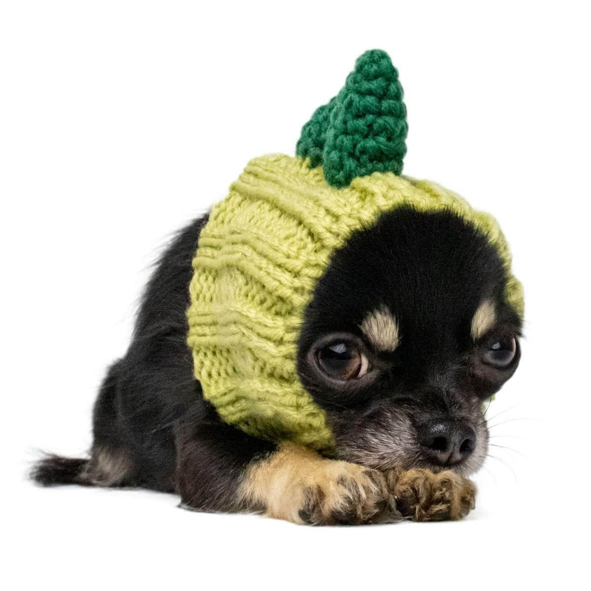 Dog with shop dinosaur hat