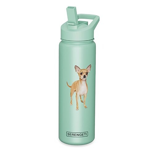 Dog ZOO Straw Bottle - 13 oz - Dog