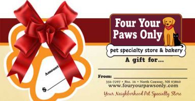 Gift Certificate Special (For In-Store Use Only)