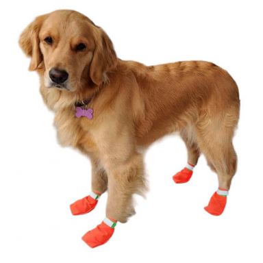 Dog Booties - 1000 Denier Cordura - Blaze Orange - *Sold Individually*