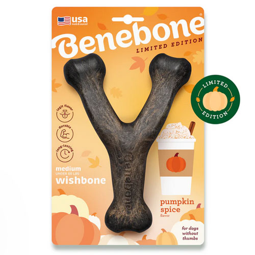 Benebone - Pumpkin Spice Wishbone - limited edition durable dog chew toy