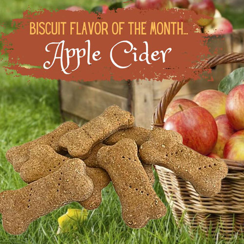 Biscuit Flavor of the Month - Apple Cider