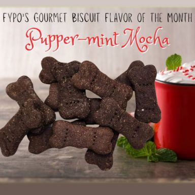 FYPO's Gourmet Biscuit Flavor of the Month  - Pupper-mint Mocha