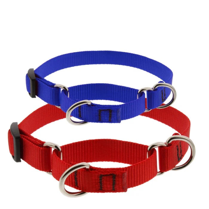 Basic Solids Martingale Dog Collar for Training