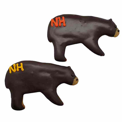 NH Black Bears