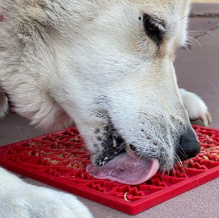 Lick Mats, Sodapup