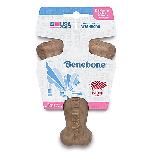 Benebone - Puppy Wishbone - Bacon Flavor