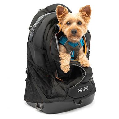 Kurgo - G-Train Dog Carrier Backpack - Black