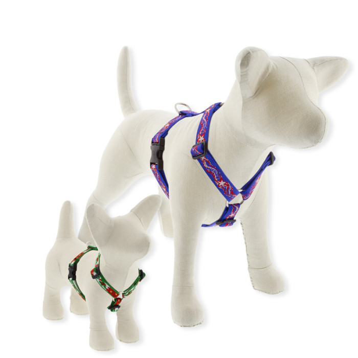 Microbatch Holiday Designs Roman Dog Harness