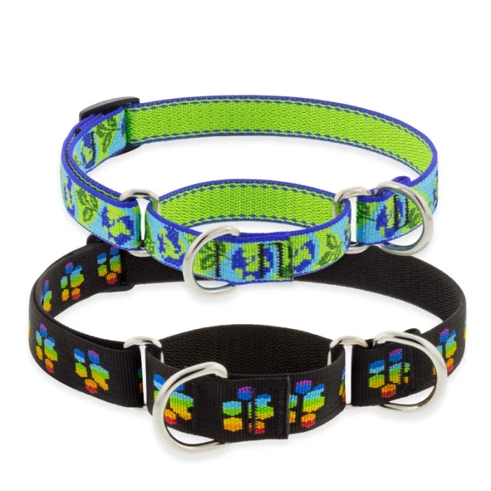 Microbatch Martingale Dog Collar for Training