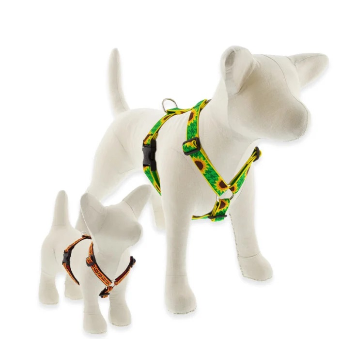 MicroBatch Roman Dog Harness