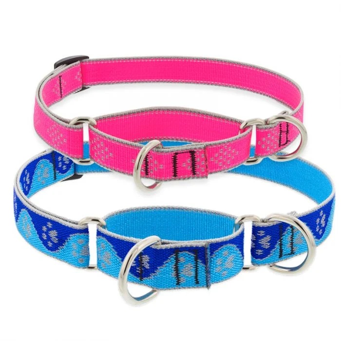 Highlights Reflective Martingale Collar for Training