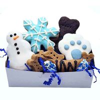 Seasonal Pet Cookies