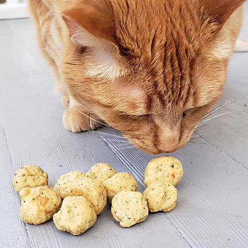 Catnip cookies for cats best sale