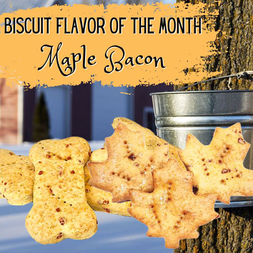 Maple Bacon Biscuits