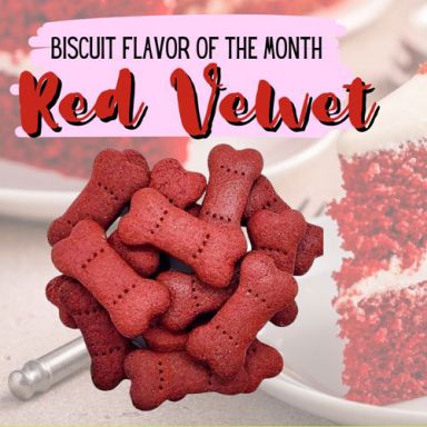 FYPO's Gourmet Biscuit Flavor of the Month - Red Velvet