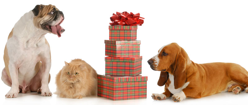 Shop Gifts for Pet Lovers