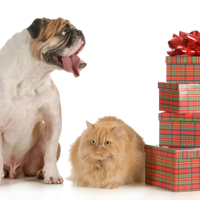 Shop Gifts for Pet Lovers