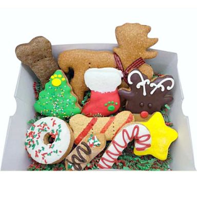 Jumbo Christmas Sampler - Best Seller!