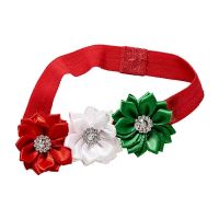 Holiday Accessories for Dogs & Cats