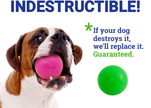 RuffDawg Indestructible Ball - Lifetime 