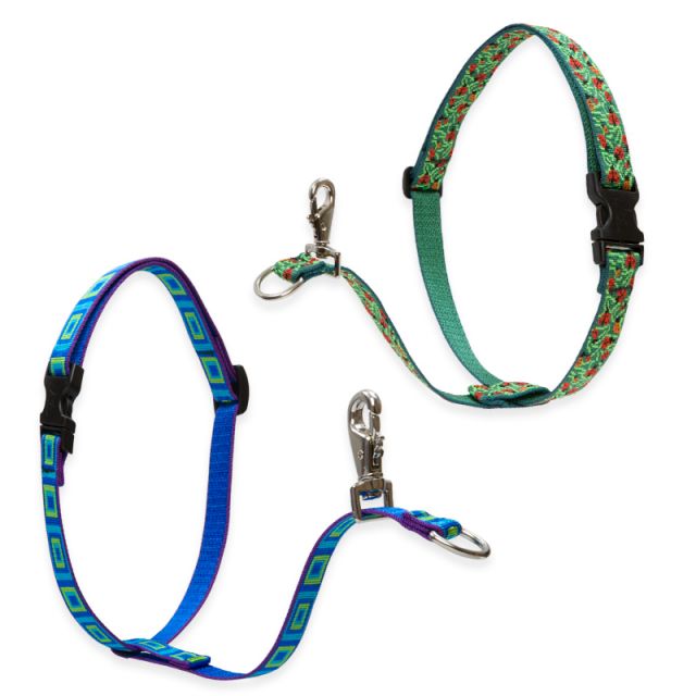 lupine no pull harness