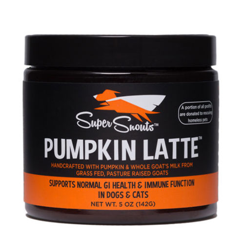 Super Snouts - Pumpkin Latte