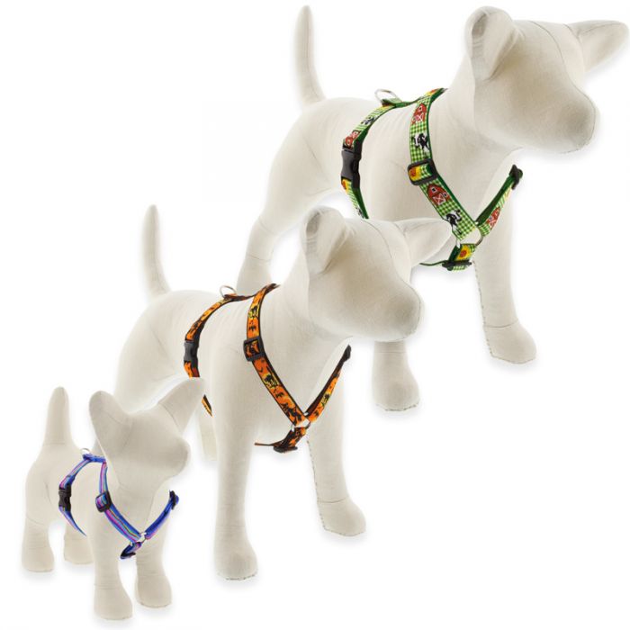 traditional dog harness