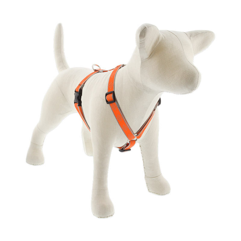 How to put on a lupine dog harness best sale